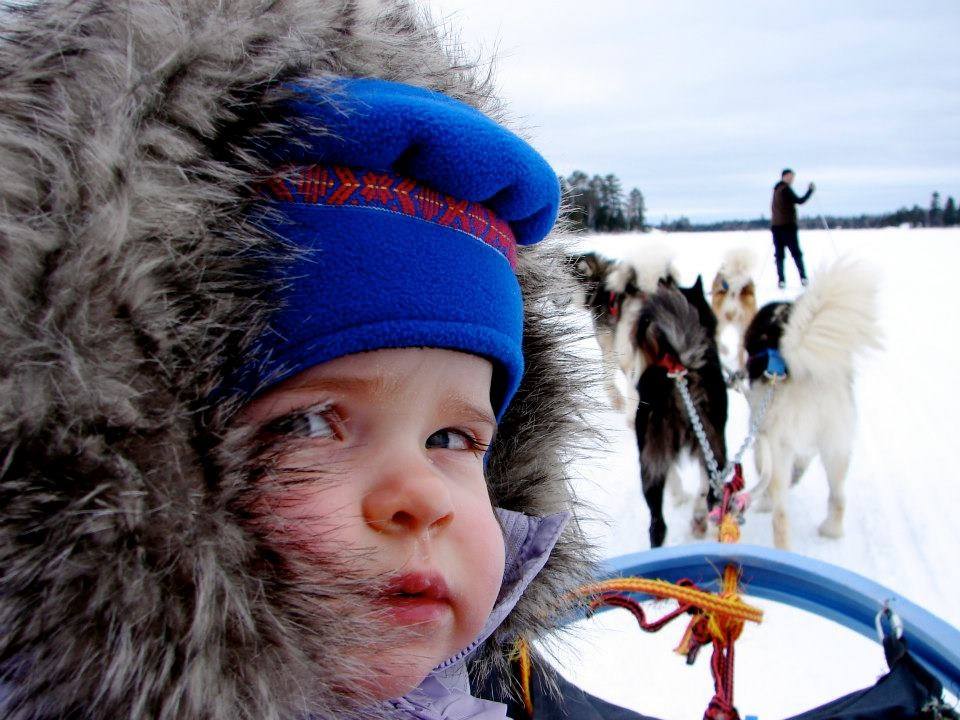 Toddler in fur coat looking back while dogs pull sled ahead