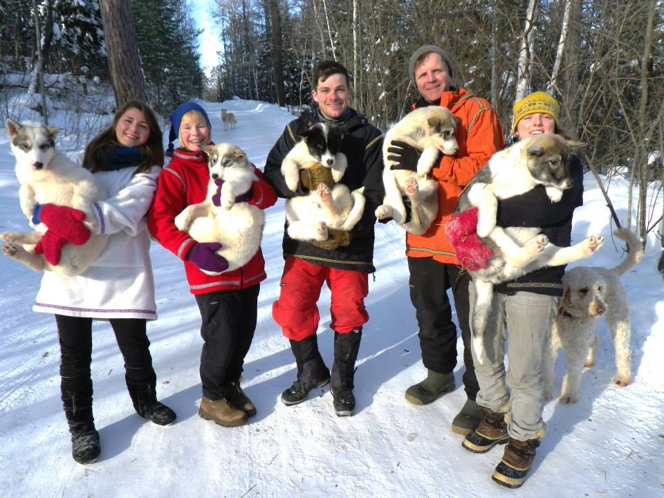 Group of five all holding sled dogs