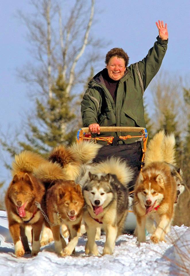 Woman waving as she's pulled by four sled dogs
