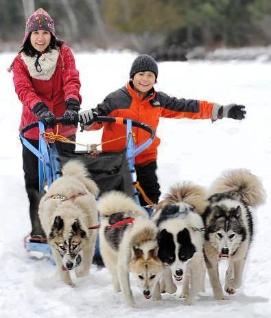 Woman and child waving as they are sledding with dogs
