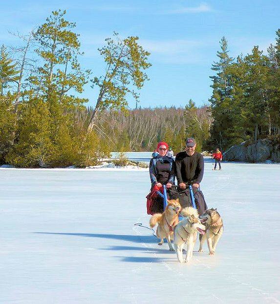 Couple dog sledding over frozen lake on a sunny day