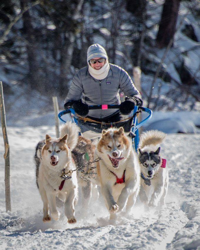 Person looking forward on sled with dogs running quickly
