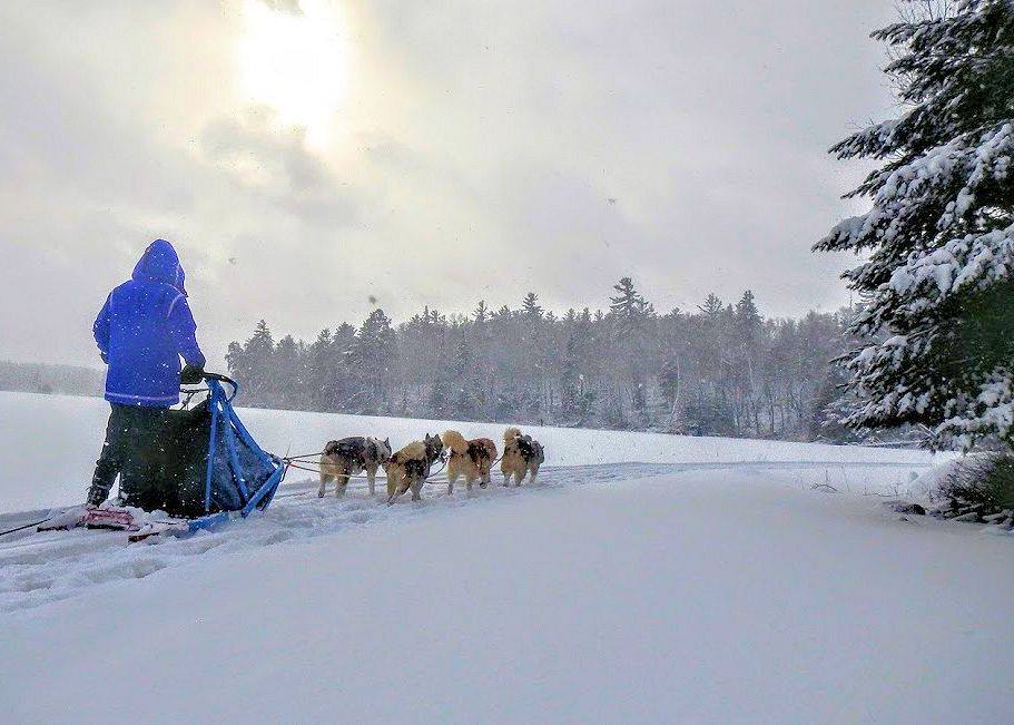 Person dogsledding on overcast snowy day