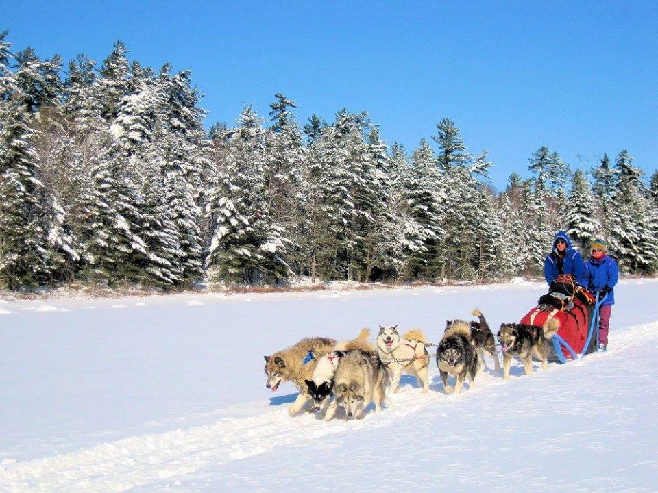 Couple dogsledding on a clear day