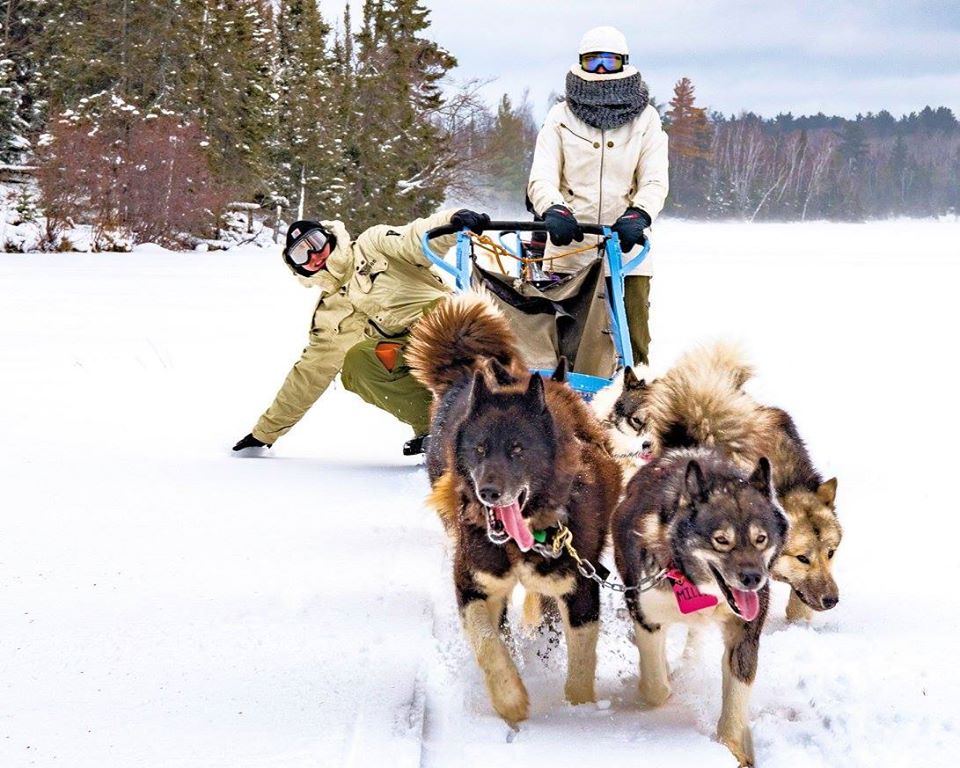 Man leaning on dogsled to grab snowballs