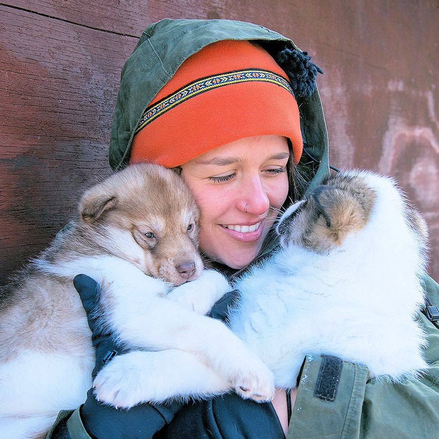 Person holding two sled puppies