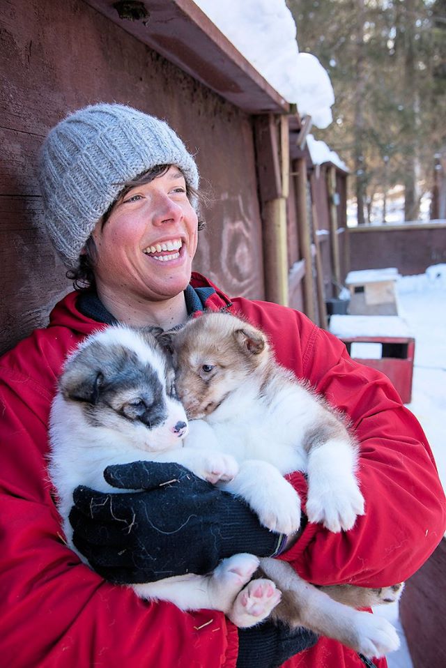 Person in gray beanie holding two sled puppies